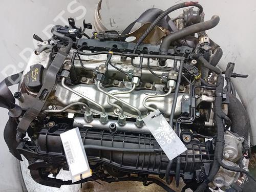 Motor Motor 38544506 38544506