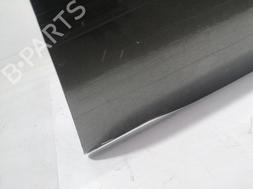 Right front door NISSAN PATHFINDER III (R51) 2.5 dCi | BP17660356C3