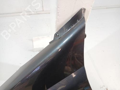 Left front fenders RENAULT MEGANE II Coupé-Cabriolet (EM0/1_)  | BP30196699C41 