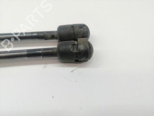 Tailgate lift support NISSAN MICRA III (K12)  | BP29430681C138 