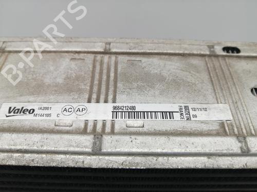 Intercooler CITROËN C4 Picasso I MPV (UD_) | BP30441128M30