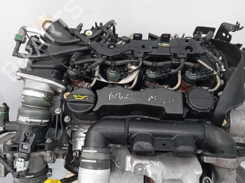 Used Engine FORD FIESTA VI (CB1, CCN) 1.6 TDCi (90 hp) 31059944
