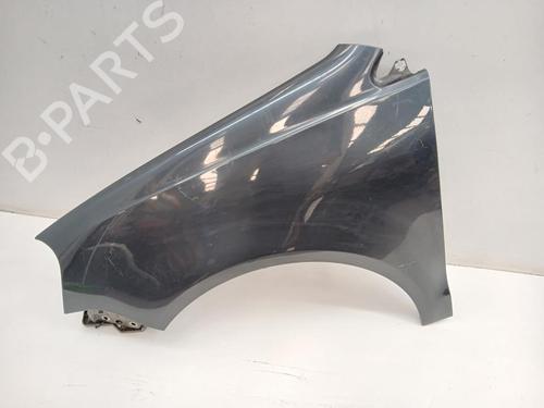 Used Left front fenders VW POLO IV (9N_, 9A_) [2001-2014]  29137959