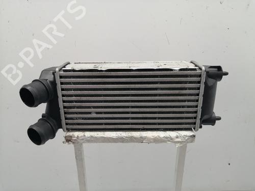 Intercooler DS DS 5 (KF_) [2015-2018]  30288483