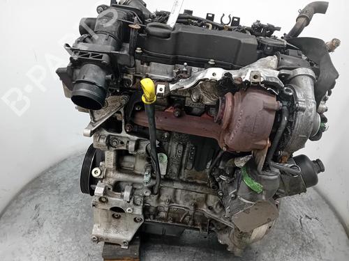 Engine FORD FOCUS II (DA_, HCP, DP)  | BP34192763M1  - Image 6