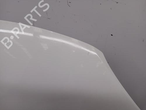Hood FIAT 500X (334_)  | BP29855853C1