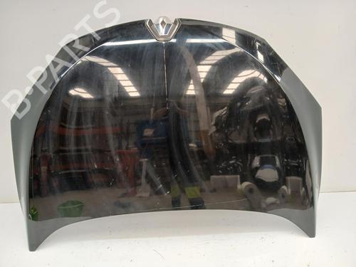 Panser RENAULT MEGANE III Coupe (DZ0/1_) 1.2 TCe (DZ2B, DZ11) (116 hp) 31380227