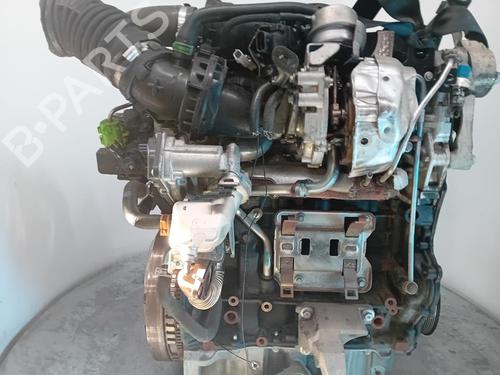Engine RENAULT SCÉNIC III (JZ0/1_) | BP31377539M1