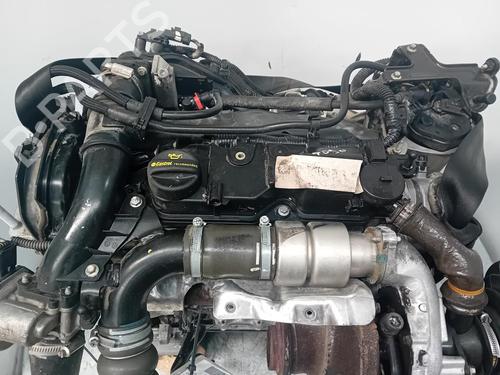 Used Engine FORD FOCUS III 1.6 TDCi (115 hp) 29585894