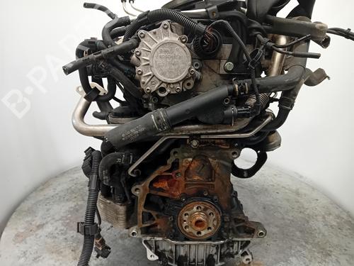 Engine SEAT TOLEDO III (5P2)  | BP28209186M1 