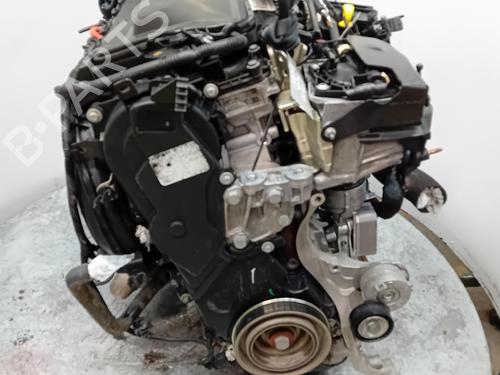Engine FORD S-MAX (WA6)  | BP29242536M1 