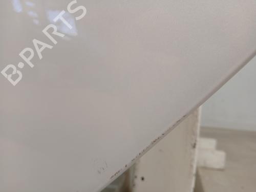 Left rear door TESLA MODEL 3 (5YJ3)  | BP29546901C4 