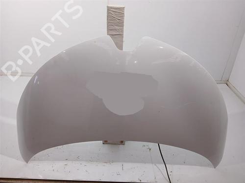 hood-renault-zoe-bfm_-2012-36275910 main image