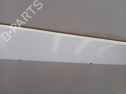 Left rear door RENAULT KOLEOS I (HY_)  | BP24866026C4 