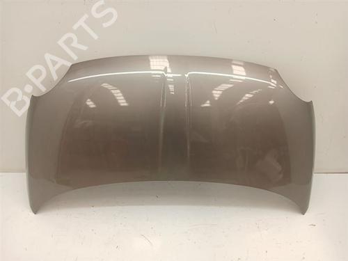 Capot Capot FIAT 500 (312_) 1.2 (312AXA1A) (69 hp) 29710657 29710657