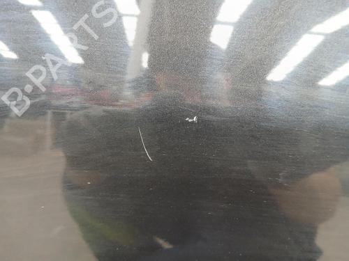 Left front door RENAULT MEGANE II (BM0/1_, CM0/1_) 1.6 16V (BM0C, CM0C) | BP24969558C2 