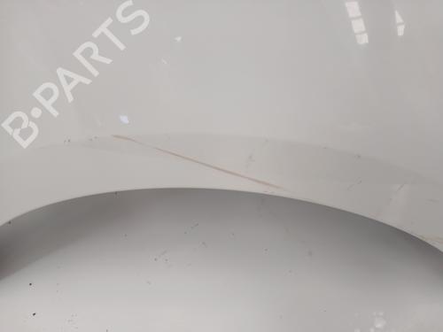 Right front fenders RENAULT SCÉNIC III (JZ0/1_)  | BP28042819C42 