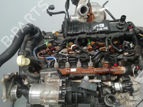 Used Engine FORD TRANSIT V363 Platform/Chassis (FED, FFD) [2013-2025]  28411928