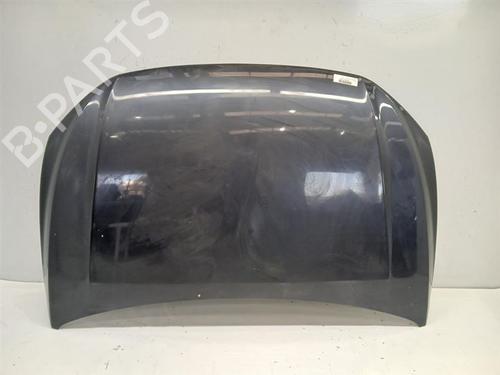 hood-vw-polo-vi-aw1-bz1-ae1-2017-38262394 main image