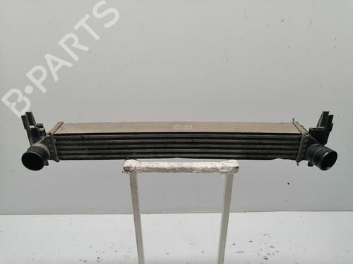 Intercooler SEAT IBIZA IV (6J5, 6P1) [2008-2017]  30548604