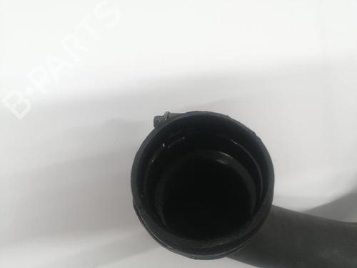 Pipe RENAULT SCÉNIC II (JM0/1_)  | BP29394338M125 