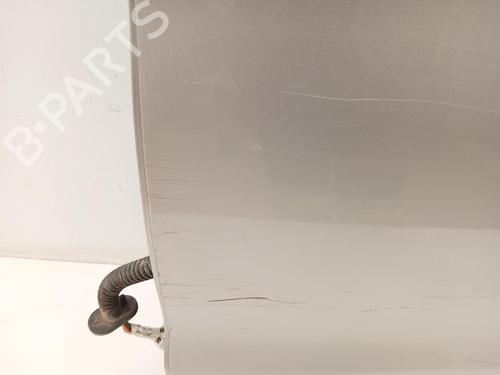 Left rear door NISSAN QASHQAI II (J11, J11_)  | BP29582424C4