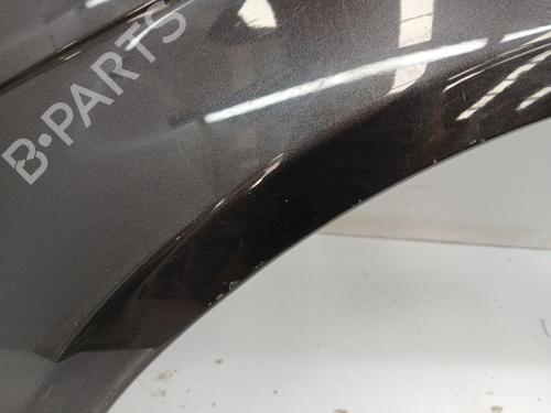 Left front fenders AUDI A3 (8P1) 1.9 TDI | BP29865498C41