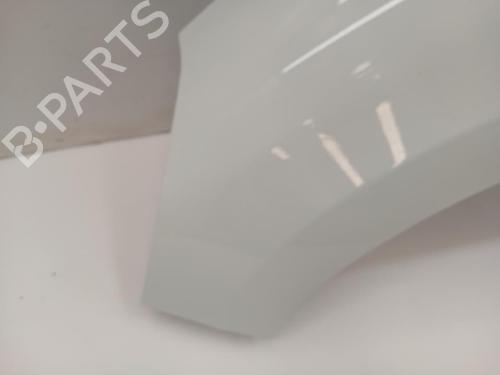 Left front fenders RENAULT CLIO IV (BH_)  | BP29234684C41 