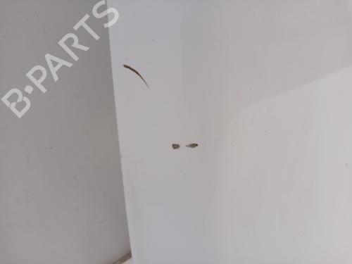 Hood FORD TRANSIT CONNECT MPV  | BP29531868C1 
