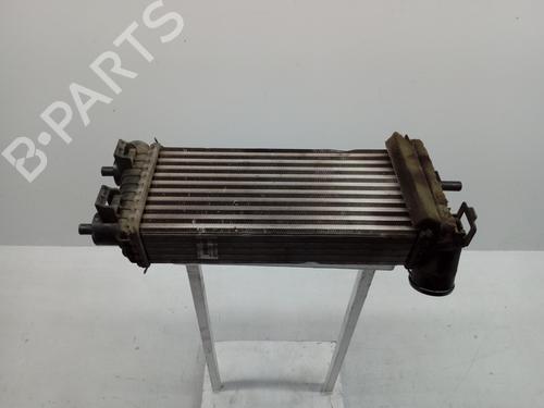 Intercooler FORD FOCUS III 1.6 TDCi (95 hp) 17076010