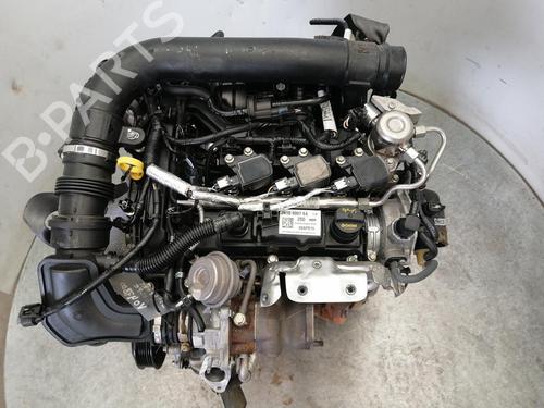Motor FORD ECOSPORT 1.0 EcoBoost (125 hp) 33169475