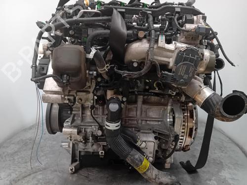 Engine KIA SPORTAGE IV (QL, QLE)  | BP29710651M1 