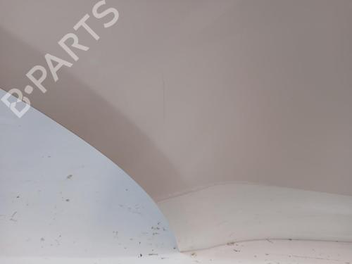 Right rear door TESLA MODEL Y (5YJY)  | BP30322818C5 