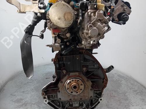 Engine NISSAN QASHQAI II (J11, J11_)  | BP31059948M1  - Image 6