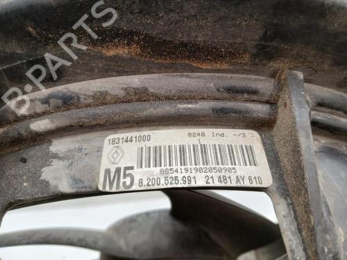Radiator fan RENAULT CLIO III (BR0/1, CR0/1)  | BP29828077M35