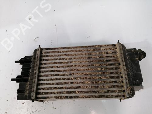 Intercooler NISSAN JUKE (F15)  | BP29376124M30 