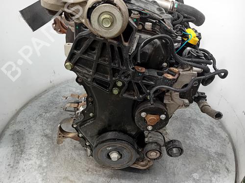 Engine RENAULT KOLEOS I (HY_) 2.0 dCi (HY0K) | BP38240018M1 - Image 6