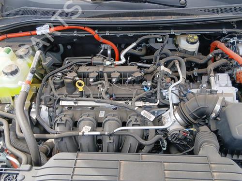 - Image 3