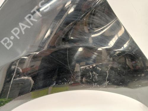 Left front fenders FORD FIESTA VI (CB1, CCN) 1.6 TDCi | BP29137948C41 