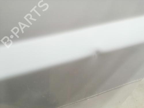 Right tailgate FIAT DUCATO Van (250_)  | BP29531881C77 