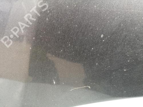 Hood HONDA CR-V III (RE_)  | BP28386502C1 