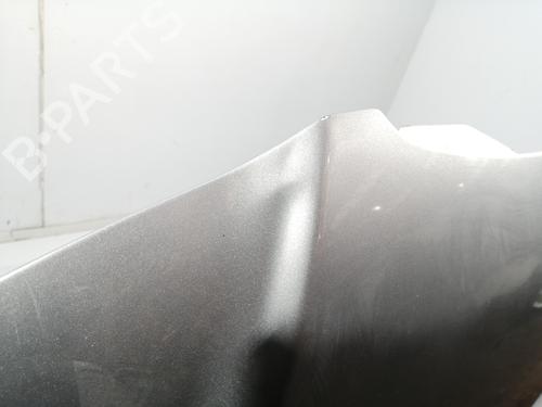 Hood SEAT IBIZA III (6L1)  | BP28157295C1 