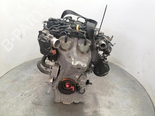 Engine FORD FIESTA VI (CB1, CCN)  | BP31375294M1 