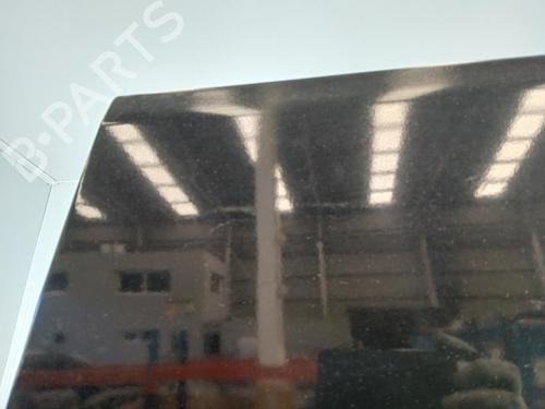 Left tailgate PEUGEOT BOXER Bus (244, Z_)  | BP29907889C76