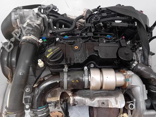 Motor FORD FIESTA VI (CB1, CCN) 1.5 TDCi (75 hp) 32526215