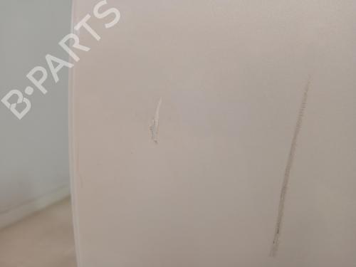 Left rear door TESLA MODEL 3 (5YJ3)  | BP29546901C4 