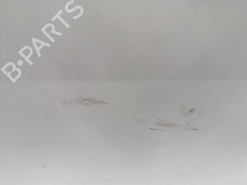 Left front door BMW 3 (E90) 318 i | BP17151414C2 