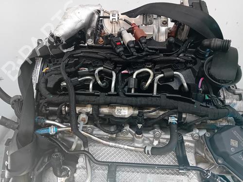 Used Engine SEAT TARRACO (KN2) [2018-2024]  31059954