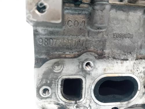 Cylinder head CITROËN JUMPY III Van (V_) | BP37032656M5 - Image 7