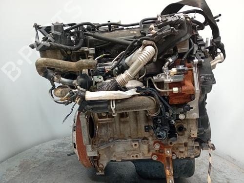 Engine FORD FOCUS III 1.6 TDCi | BP28209177M1 